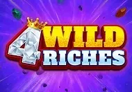 4 Wild Riches game cover